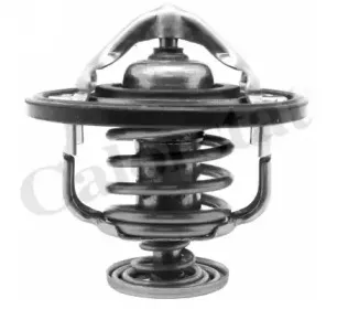 Термостат, охлаждающая жидкость CALORSTAT by Vernet купить