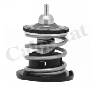 Термостат, охлаждающая жидкость CALORSTAT by Vernet купить