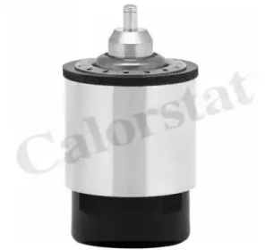 Термостат, охлаждающая жидкость CALORSTAT by Vernet купить