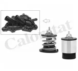 Термостат, охлаждающая жидкость CALORSTAT by Vernet купить