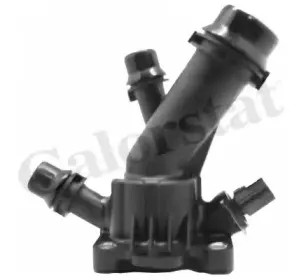 Термостат, охлаждающая жидкость CALORSTAT by Vernet купить