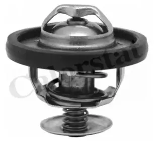 Термостат, охлаждающая жидкость CALORSTAT by Vernet купить