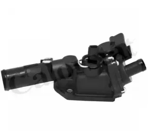 Термостат, охлаждающая жидкость CALORSTAT by Vernet купить