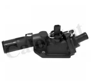 Термостат, охлаждающая жидкость CALORSTAT by Vernet купить