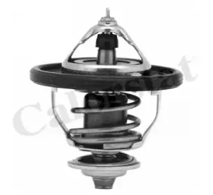 TH7354.88J VERNET Термостат CALORSTAT BY VERNET купить