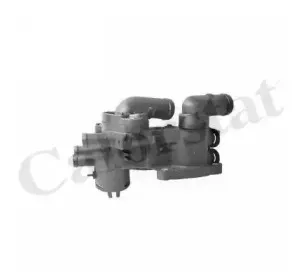 Термостат, охлаждающая жидкость CALORSTAT by Vernet купить