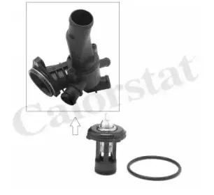 Термостат, охлаждающая жидкость CALORSTAT by Vernet купить