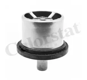 Термостат, охлаждающая жидкость CALORSTAT by Vernet купить