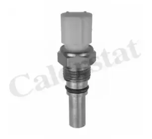 Термовыключатель, вентилятор радиатора CALORSTAT by Vernet купить