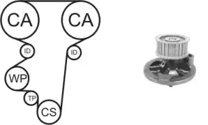 WPK-169601 Насос охолоджуючої рідини + комплект зубчатого ременя AIRTEX купить