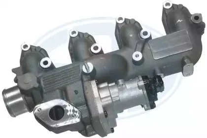 Клапан возврата ОГ ERA купить