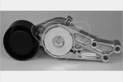 Натяжной ролик, поликлиновойремень HUTCHINSON купить