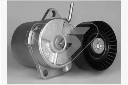 Натяжной ролик, поликлиновойремень HUTCHINSON купить