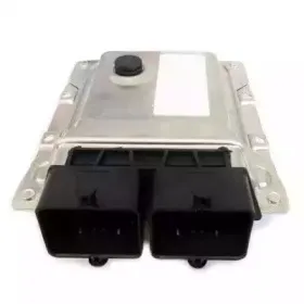 Блок управления, управление двигателем MEAT & DORIA купить