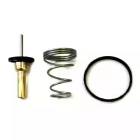 Термостат, охлаждающая жидкость MEAT & DORIA купить