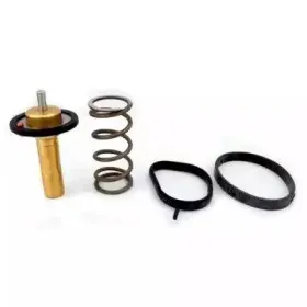 Термостат, охлаждающая жидкость MEAT & DORIA купить