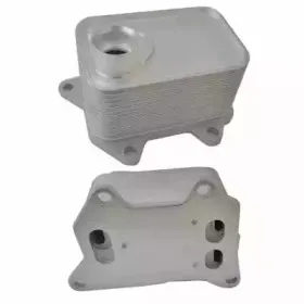 масляный радиатор, двигательное масло MEAT & DORIA купить