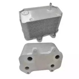 масляный радиатор, двигательное масло MEAT & DORIA купить