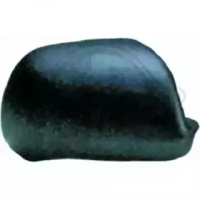 Покрытие, внешнее зеркало DIEDERICHS купить