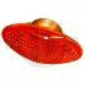 Фонарь указателя поворота DIEDERICHS купить