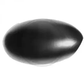 Покрытие, внешнее зеркало DIEDERICHS купить