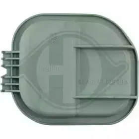 Покрытие, фара DIEDERICHS купить