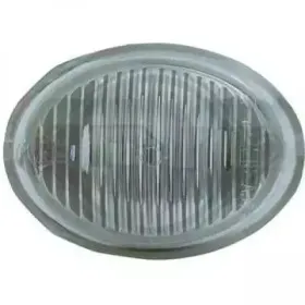 Фонарь указателя поворота DIEDERICHS купить