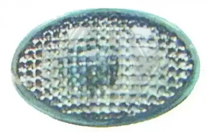 Фонарь указателя поворота DIEDERICHS купить