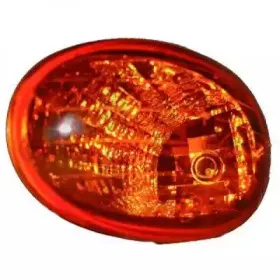 Фонарь указателя поворота DIEDERICHS купить