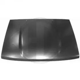 Капот двигателя DIEDERICHS купить