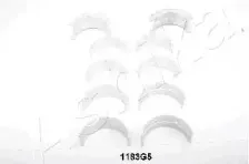 Комплект подшипников коленчатого вала ASHIKA купить