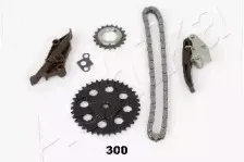 Комплект привідного ланцюга ASHIKA купить