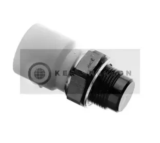 Термовыключатель, вентилятор радиатора SMPE купить