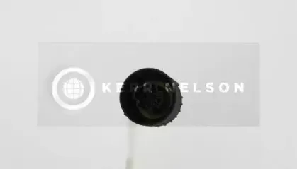 Лямбда-зонд SMPE купить