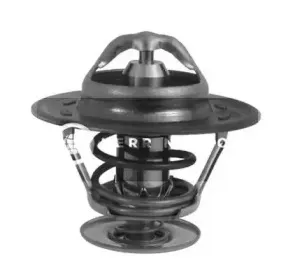 Термостат, охлаждающая жидкость SMPE купить