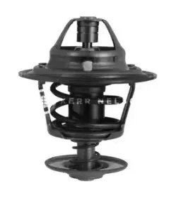 Термостат, охлаждающая жидкость SMPE купить