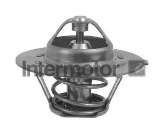 Термостат, охлаждающая жидкость SMPE купить