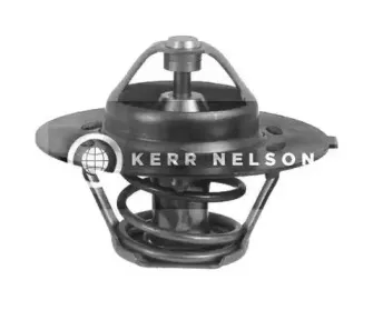 Термостат, охлаждающая жидкость SMPE купить