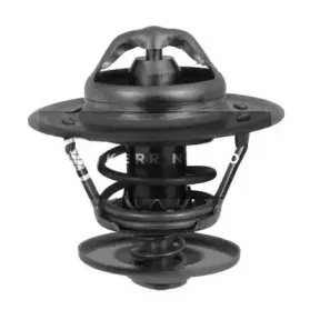 Термостат, охлаждающая жидкость SMPE купить