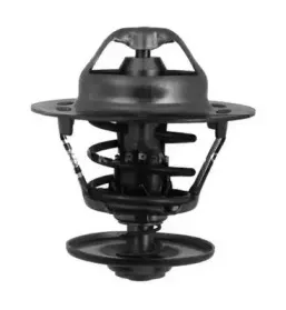 Термостат, охлаждающая жидкость SMPE купить