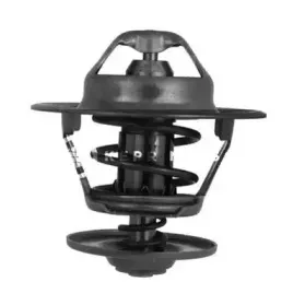 Термостат, охлаждающая жидкость SMPE купить