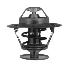 Термостат, охлаждающая жидкость SMPE купить