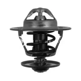 Термостат, охлаждающая жидкость SMPE купить