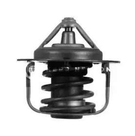 Термостат, охлаждающая жидкость SMPE купить