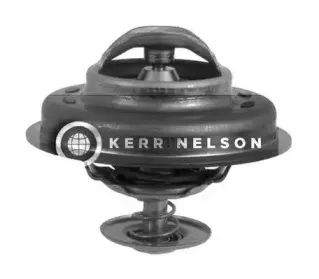 Термостат, охлаждающая жидкость SMPE купить