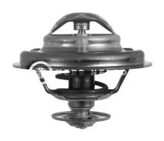 Термостат, охлаждающая жидкость SMPE купить