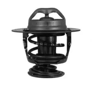 Термостат, охлаждающая жидкость SMPE купить