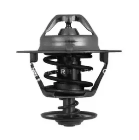 Термостат, охлаждающая жидкость SMPE купить