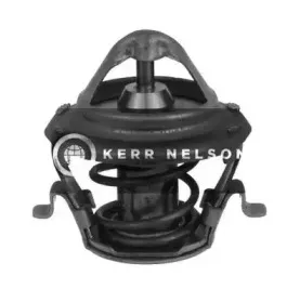 Термостат, охлаждающая жидкость SMPE купить