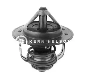 Термостат, охлаждающая жидкость SMPE купить